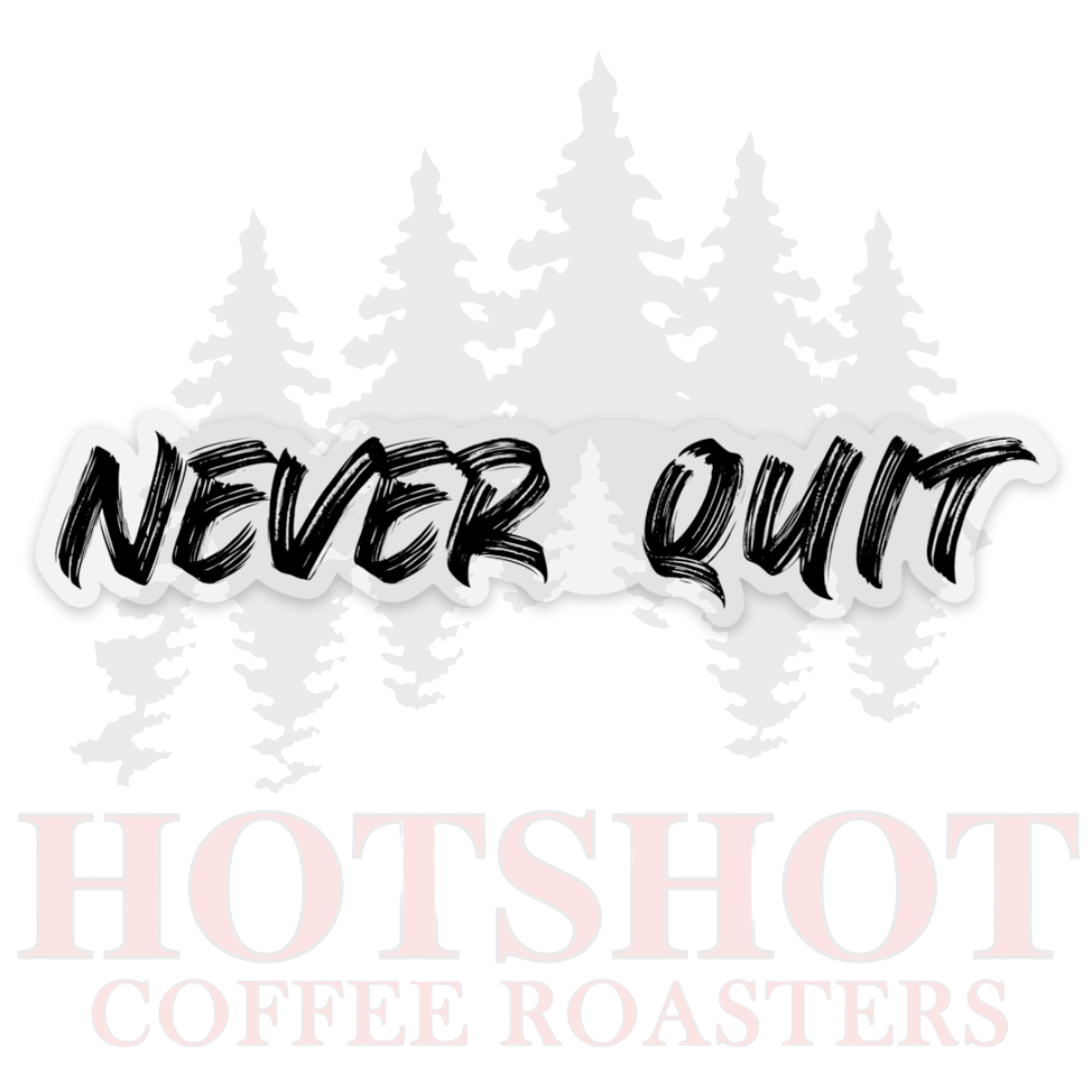 NEVER QUIT- STICKER