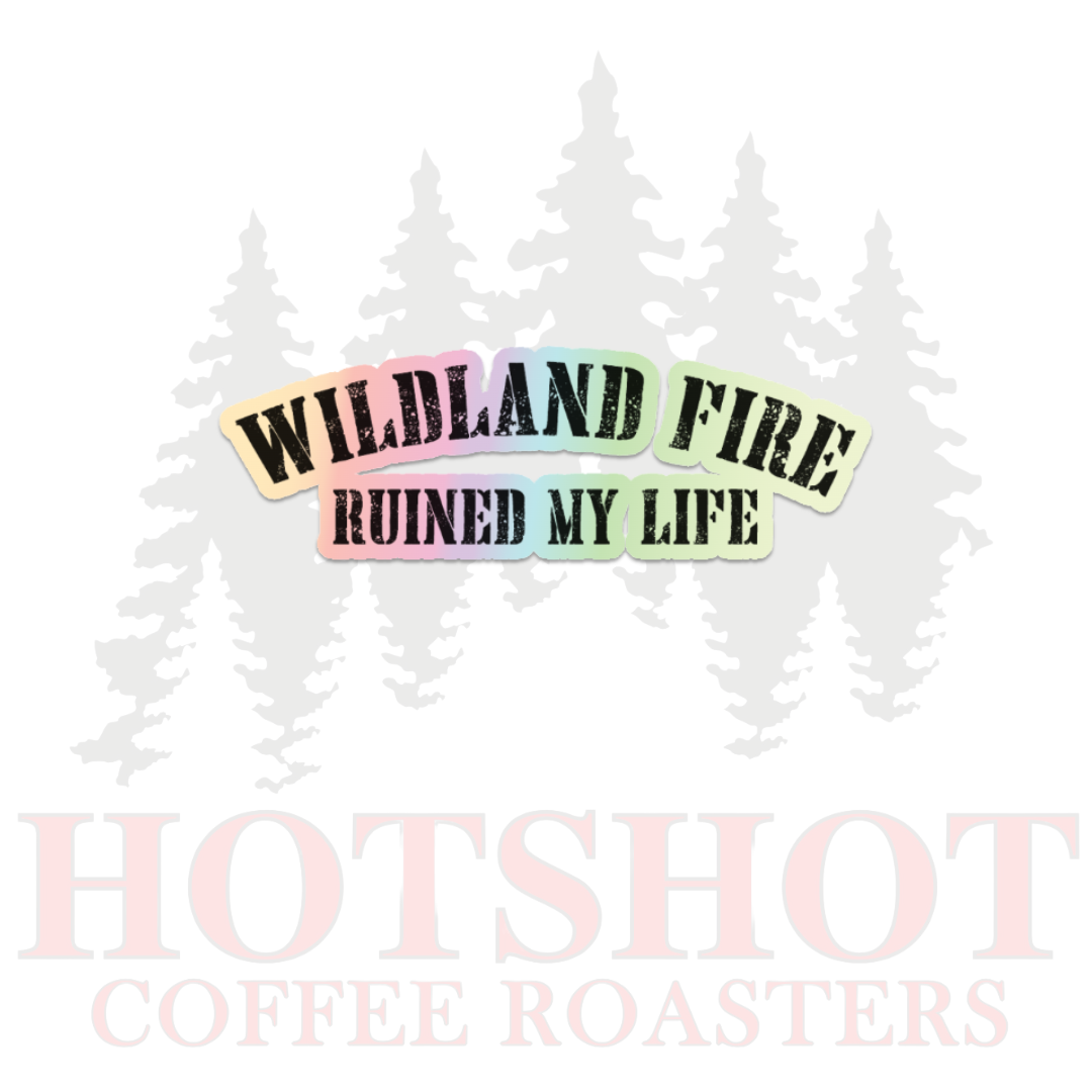 RUINED MY LIFE - STICKER